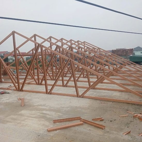 He-khung-thep-Katashi-Truss-7